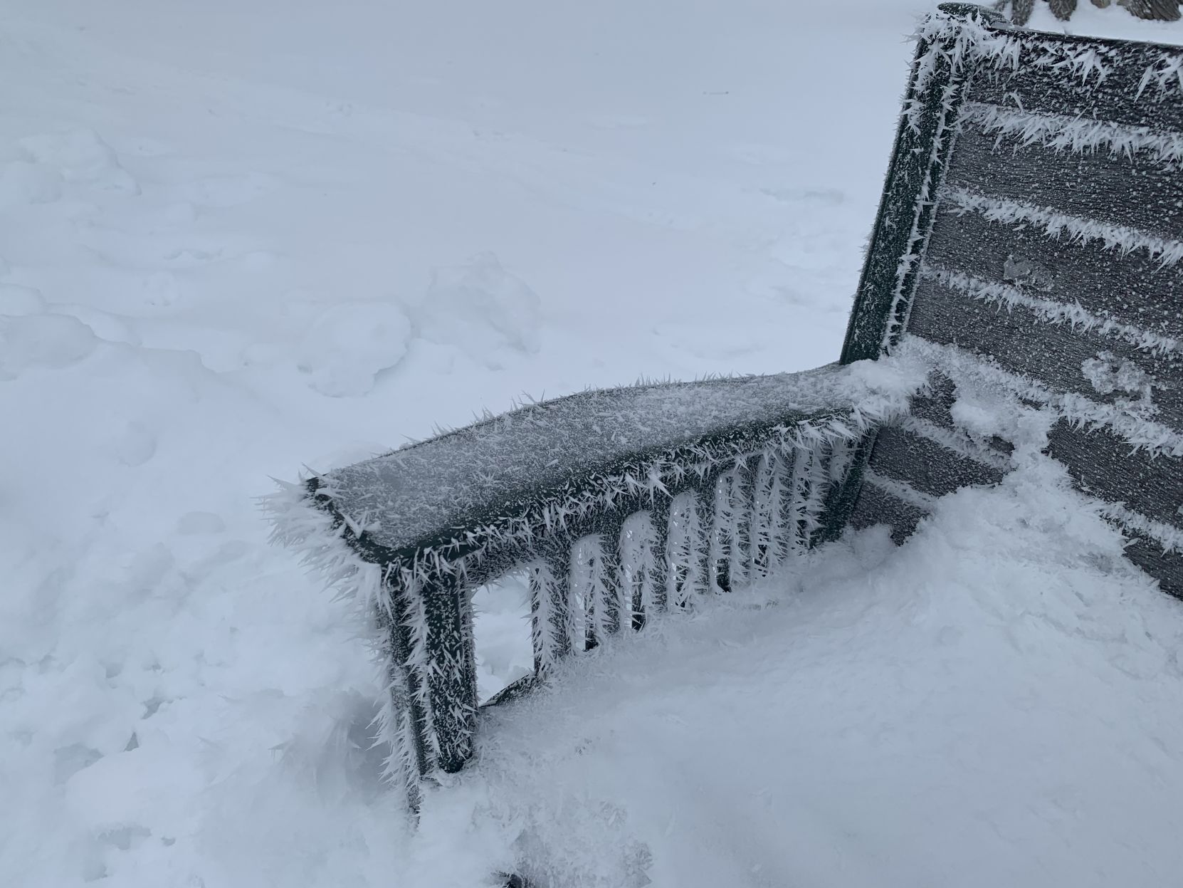 A cold seat